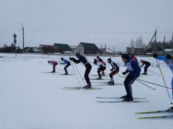 Соревнования по лыжным гонкам